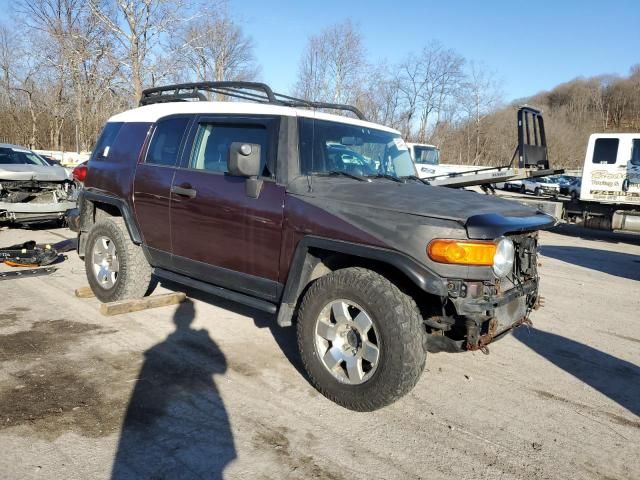 2007 Toyota FJ Cruiser