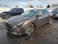 Nissan salvage cars for sale: 2012 Nissan Maxima S