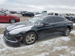 Salvage cars for sale from Copart Indianapolis, IN: 2021 Hyundai Sonata SE