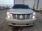 2007 Cadillac Escalade Luxury