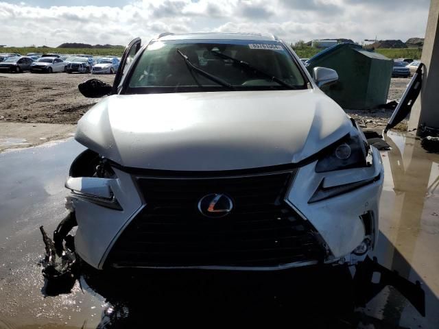 2019 Lexus NX 300 Base