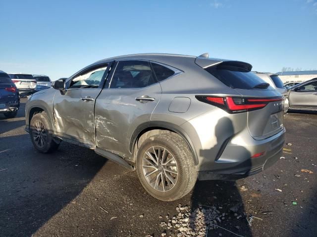 2024 Lexus NX 350 Base