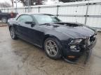 2010 Ford Mustang