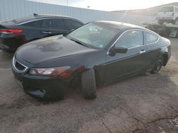 2009 Honda Accord EXL en venta en Central Square, NY