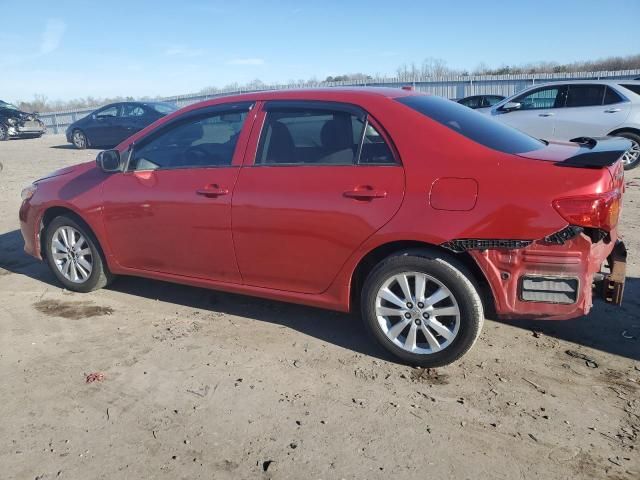 2010 Toyota Corolla Base