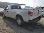 2010 Ford F150