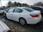 2014 Honda Accord EXL