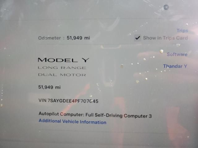 2023 Tesla Model Y