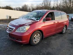 Salvage cars for sale at Windsor, NJ auction: 2006 Honda Odyssey EXL