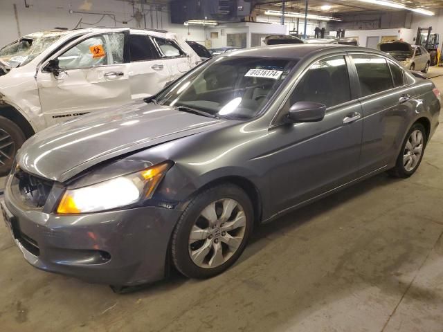 2008 Honda Accord EXL