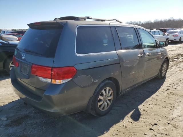 2008 Honda Odyssey EXL