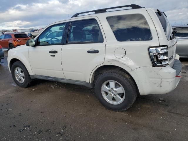 2009 Ford Escape XLT