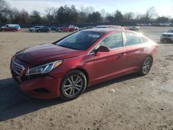 Hyundai Sonata Vehiculos salvage en venta: 2016 Hyundai Sonata SE