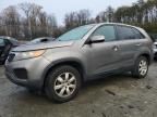 2011 KIA Sorento Base