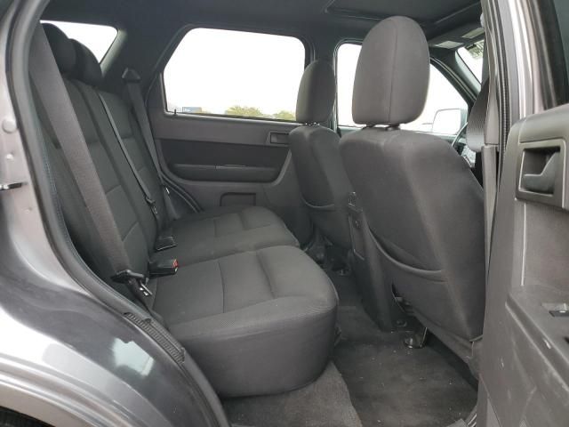 2009 Ford Escape XLT