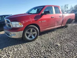 Salvage trucks for sale at Wayland, MI auction: 2010 Dodge RAM 1500