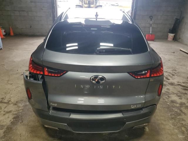 2024 Infiniti QX55 Sensory