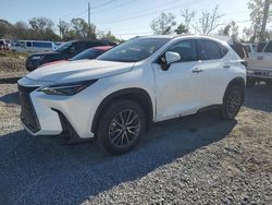 Salvage cars for sale at Riverview, FL auction: 2025 Lexus NX 250 Premium