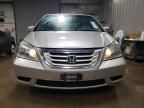 2008 Honda Odyssey EXL