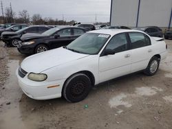 Salvage cars for sale at Lawrenceburg, KY auction: 2004 Chevrolet Classic