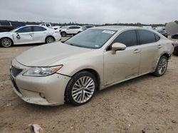 Salvage cars for sale at Houston, TX auction: 2013 Lexus ES 350