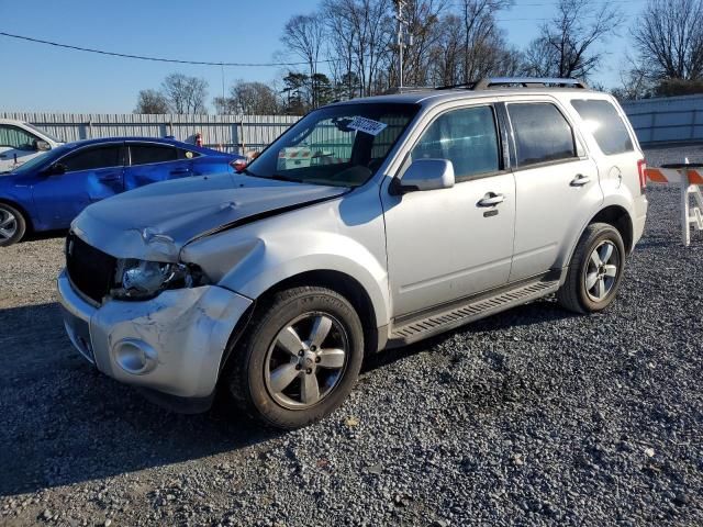 2011 Ford Escape Limited