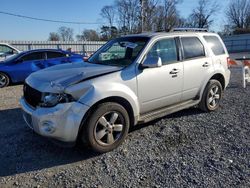 Ford Escape Vehiculos salvage en venta: 2011 Ford Escape Limited