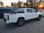 2023 Toyota Tacoma Double Cab