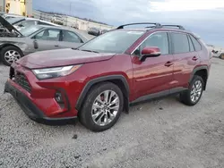 Salvage cars for sale at Earlington, KY auction: 2024 Toyota Rav4 XLE Premium