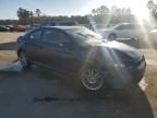 2005 Scion TC