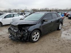 Ford salvage cars for sale: 2013 Ford Focus SE