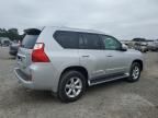 2013 Lexus GX 460