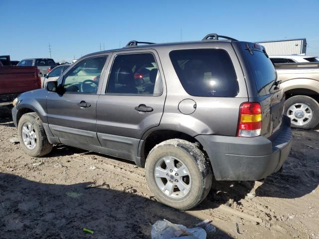 2006 Ford Escape XLT