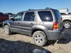 2006 Ford Escape XLT