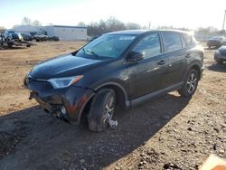 Salvage cars for sale at Hillsborough, NJ auction: 2018 Toyota Rav4 Adventure