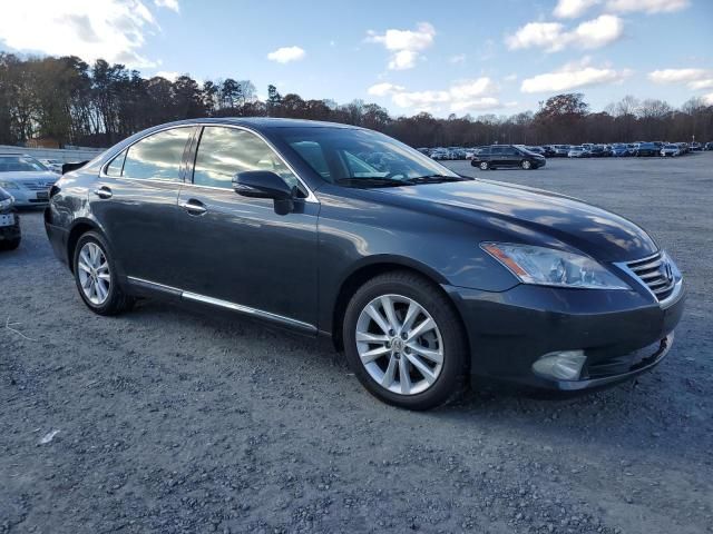 2010 Lexus ES 350