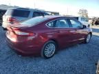 2013 Ford Fusion Titanium Phev