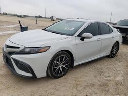 Salvage cars for sale from Copart New Braunfels, TX: 2024 Toyota Camry SE Night Shade