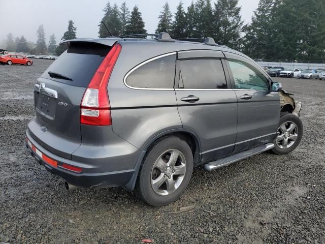 2010 Honda CR-V EXL