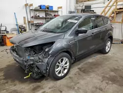 Ford salvage cars for sale: 2017 Ford Escape SE