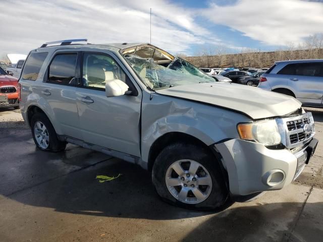 2009 Ford Escape Limited