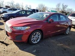 Salvage cars for sale at Baltimore, MD auction: 2019 Ford Fusion SE