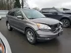 2010 Honda CR-V EXL