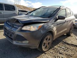 Ford Vehiculos salvage en venta: 2013 Ford Escape SE