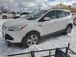 Salvage cars for sale at Barberton, OH auction: 2013 Ford Escape SE