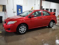 Salvage cars for sale at Blaine, MN auction: 2010 Toyota Corolla Base