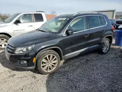 Volkswagen Vehiculos salvage en venta: 2016 Volkswagen Tiguan S