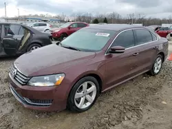 Salvage cars for sale at Louisville, KY auction: 2013 Volkswagen Passat SE