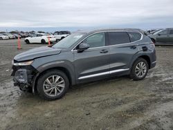 Salvage cars for sale at Antelope, CA auction: 2019 Hyundai Santa FE SEL