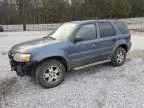 2005 Ford Escape XLT